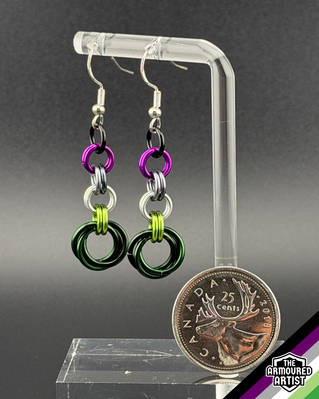AroAce (Alternative Flag) Dangling Earrings